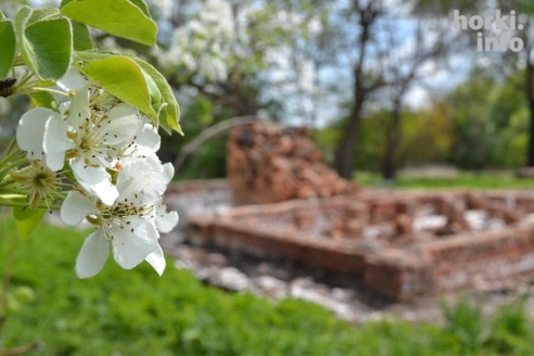 На краю жизни