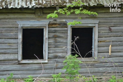 На краю жизни