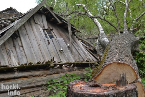 На краю жизни