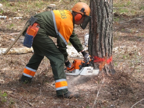 Майстры сякеры і пілы