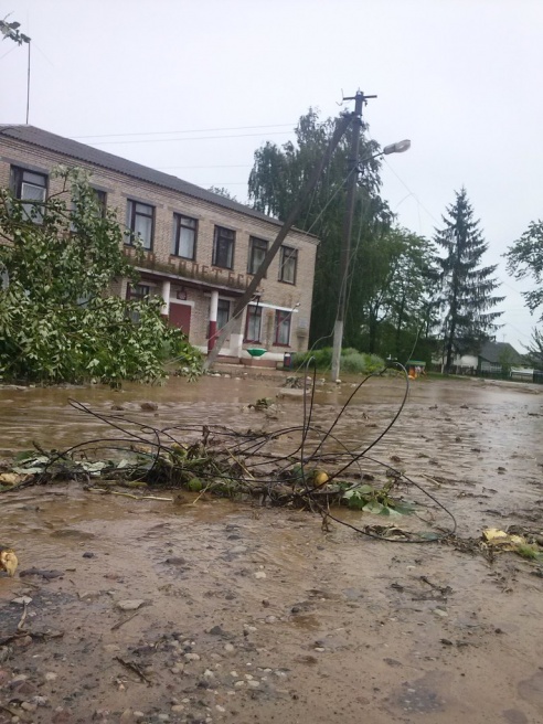 В Барановичском районе ураган вырывал деревья и сносил печные трубы