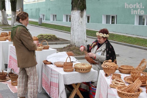 В Горках прошла выездная сессия Могилевского областного Совета депутатов. Фотофакты