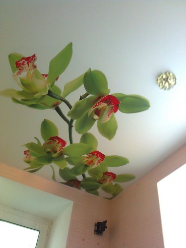 Натяжные потолки в Молодечно и районе – быстро, качественно, надежно!