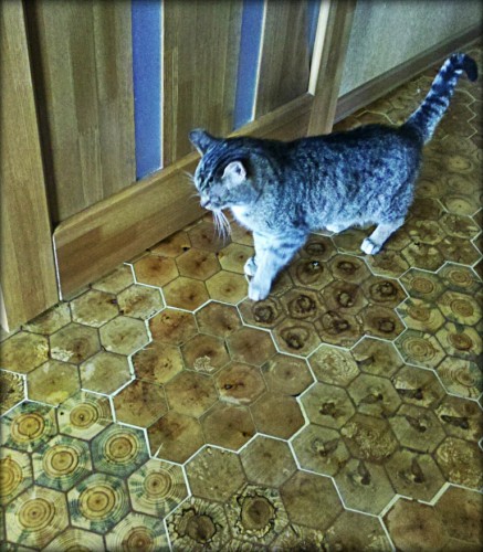 Покрытие из торцевого среза дерева – ноу-хау предков