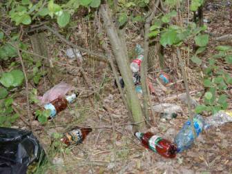 Милиция нашла четырех безнадзорных детей во время пляжного рейда