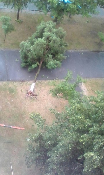 Фотофакт: в воскресенье Гомель «накрыло» дождем