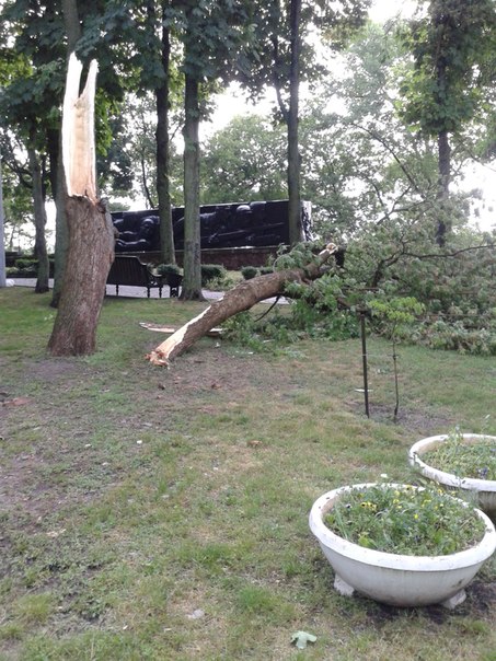 Фотофакт: в воскресенье Гомель «накрыло» дождем