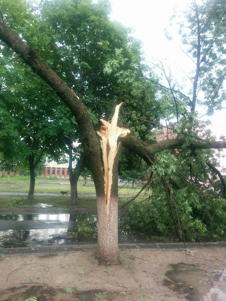 Фотофакт: в воскресенье Гомель «накрыло» дождем