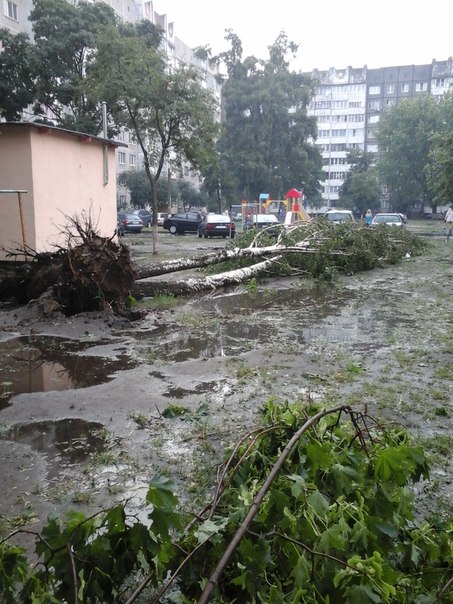 Фотофакт: в воскресенье Гомель «накрыло» дождем