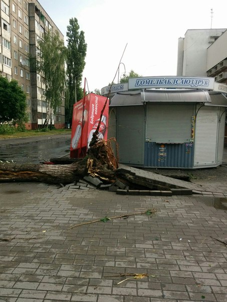 Фотофакт: в воскресенье Гомель «накрыло» дождем