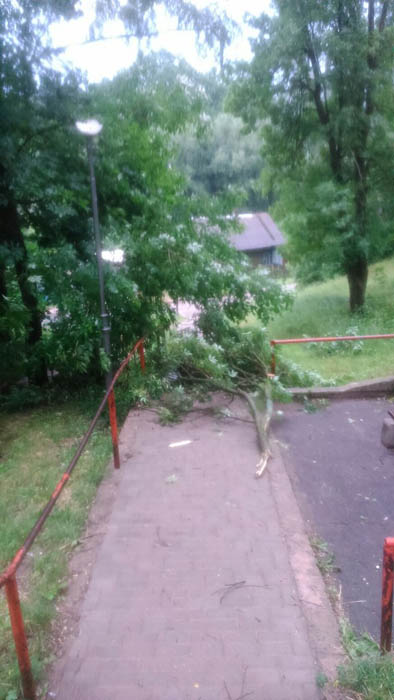Сильный дождь и ветер в Горках: последствия