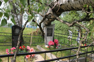 Сильный ураган, в минувшее воскресенье, 19 апреля устроил погром на улицах агрогородка Белая Дуброва Костюковичского района (+ фото, видео)