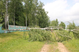 Сильный ураган, в минувшее воскресенье, 19 апреля устроил погром на улицах агрогородка Белая Дуброва Костюковичского района (+ фото, видео)