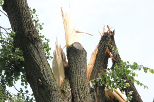 Сильный ураган, в минувшее воскресенье, 19 апреля устроил погром на улицах агрогородка Белая Дуброва Костюковичского района (+ фото, видео)