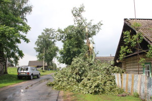 Сильный ураган, в минувшее воскресенье, 19 апреля устроил погром на улицах агрогородка Белая Дуброва Костюковичского района (+ фото, видео)
