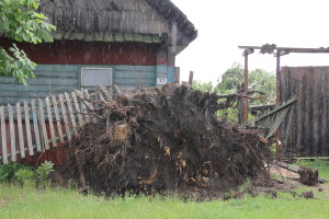 Сильный ураган, в минувшее воскресенье, 19 апреля устроил погром на улицах агрогородка Белая Дуброва Костюковичского района (+ фото, видео)