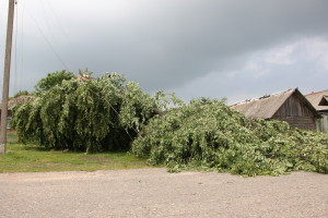 Сильный ураган, в минувшее воскресенье, 19 апреля устроил погром на улицах агрогородка Белая Дуброва Костюковичского района (+ фото, видео)