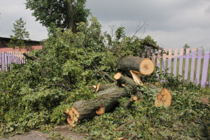Сильный ураган, в минувшее воскресенье, 19 апреля устроил погром на улицах агрогородка Белая Дуброва Костюковичского района (+ фото, видео)