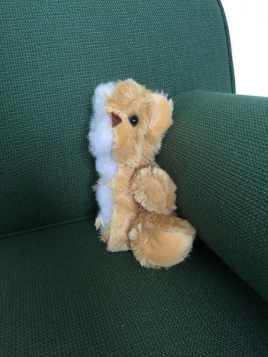 Немец выставил на продажу распиленные пополам вещи, которые остались у него после расставания с девушкой (ФОТО, ВИДЕО)