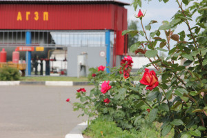 В Костюковичах в районе газоснабжения со вкусом благоустроена территория (+ фото)