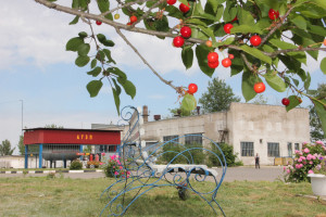 В Костюковичах в районе газоснабжения со вкусом благоустроена территория (+ фото)