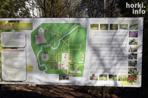 Как расцвел ботсад горецкой академии