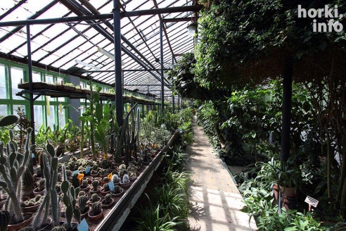 Как расцвел ботсад горецкой академии