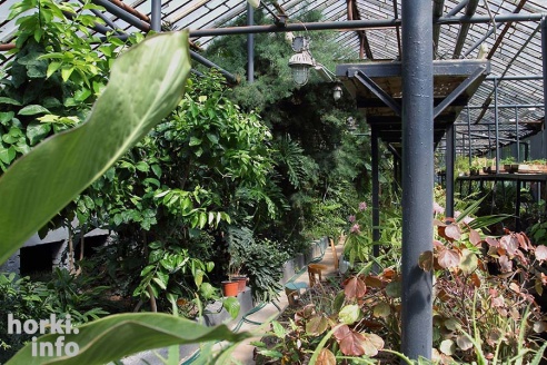 Как расцвел ботсад горецкой академии