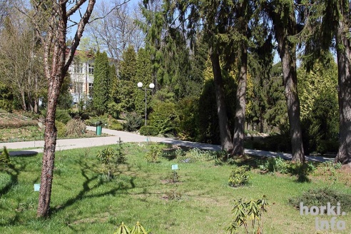 Как расцвел ботсад горецкой академии