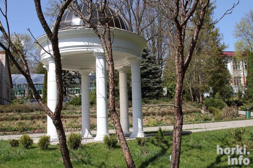 Как расцвел ботсад горецкой академии