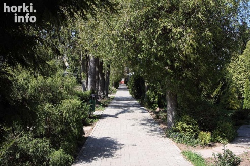 Как расцвел ботсад горецкой академии