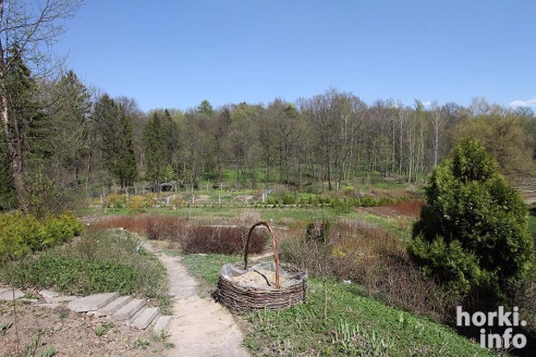 Как расцвел ботсад горецкой академии