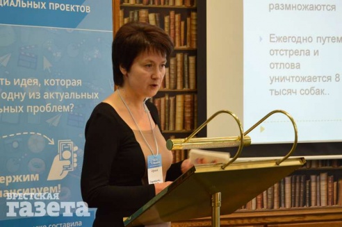 Конкурс социальных проектов в Бресте: подъемник для инвалидов, вольеры для бездомных животных и другие