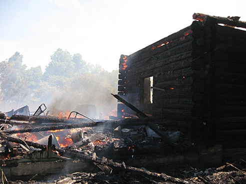 Слаженные действия спасателей и месных жителей помогли спасти 83-х летнюю хозяйку дома в Быховском районе