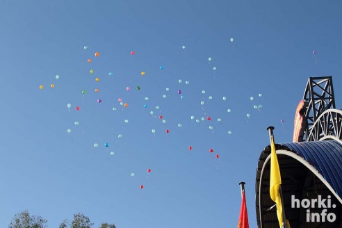 Выпускники 2015: цветы, улыбки и прощальный вальс в Горках