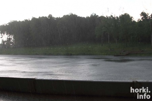 Ливень в Горках: вода по колено и ветер, ломающий деревья