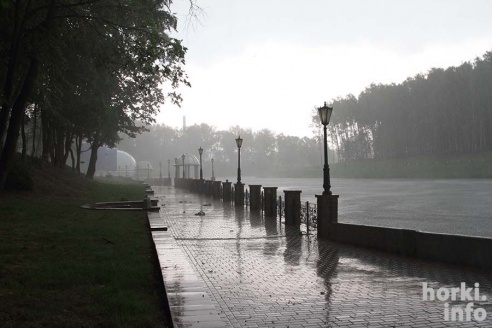 Ливень в Горках: вода по колено и ветер, ломающий деревья