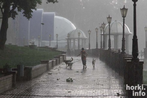 Ливень в Горках: вода по колено и ветер, ломающий деревья