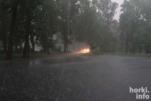 Ливень в Горках: вода по колено и ветер, ломающий деревья