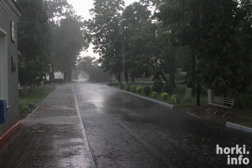 Ливень в Горках: вода по колено и ветер, ломающий деревья