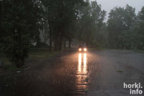 Ливень в Горках: вода по колено и ветер, ломающий деревья