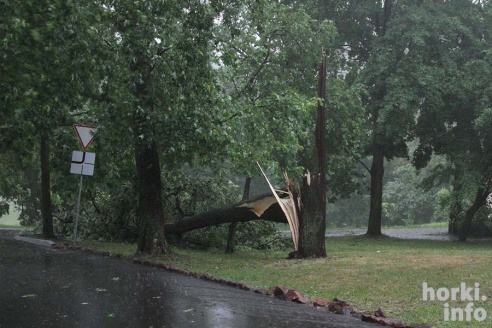 Ливень в Горках: вода по колено и ветер, ломающий деревья