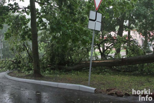 Ливень в Горках: вода по колено и ветер, ломающий деревья