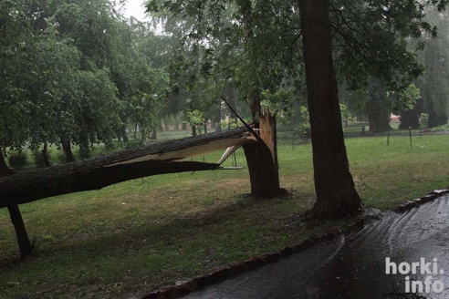 Ливень в Горках: вода по колено и ветер, ломающий деревья