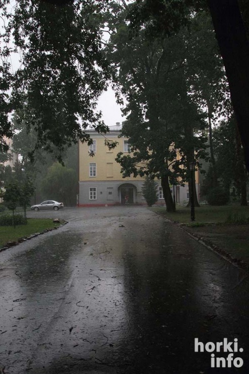 Ливень в Горках: вода по колено и ветер, ломающий деревья