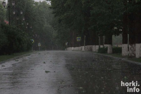 Ливень в Горках: вода по колено и ветер, ломающий деревья