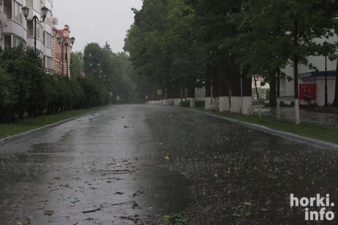 Ливень в Горках: вода по колено и ветер, ломающий деревья