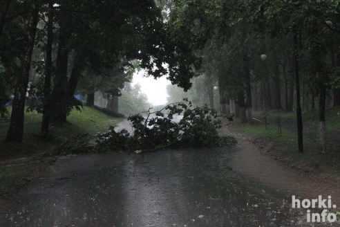 Ливень в Горках: вода по колено и ветер, ломающий деревья