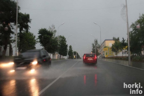 Ливень в Горках: вода по колено и ветер, ломающий деревья