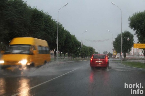 Ливень в Горках: вода по колено и ветер, ломающий деревья